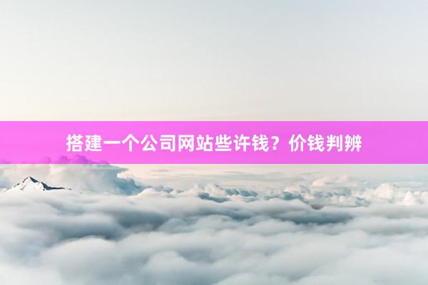 搭建一个公司网站些许钱？价钱判辨