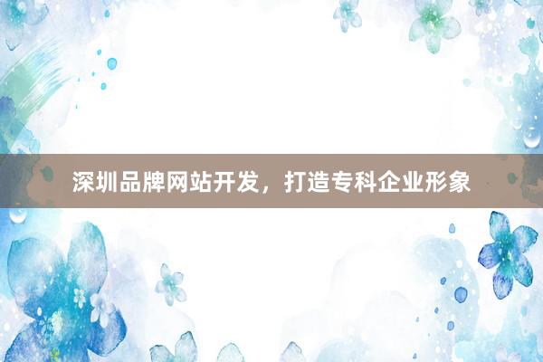 深圳品牌网站开发，打造专科企业形象