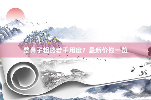 整鼻子粗略若干用度？最新价钱一览