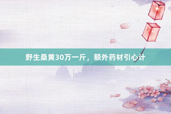 野生桑黄30万一斤，额外药材引心计