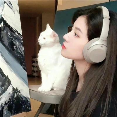 权路天下$我要当董事长