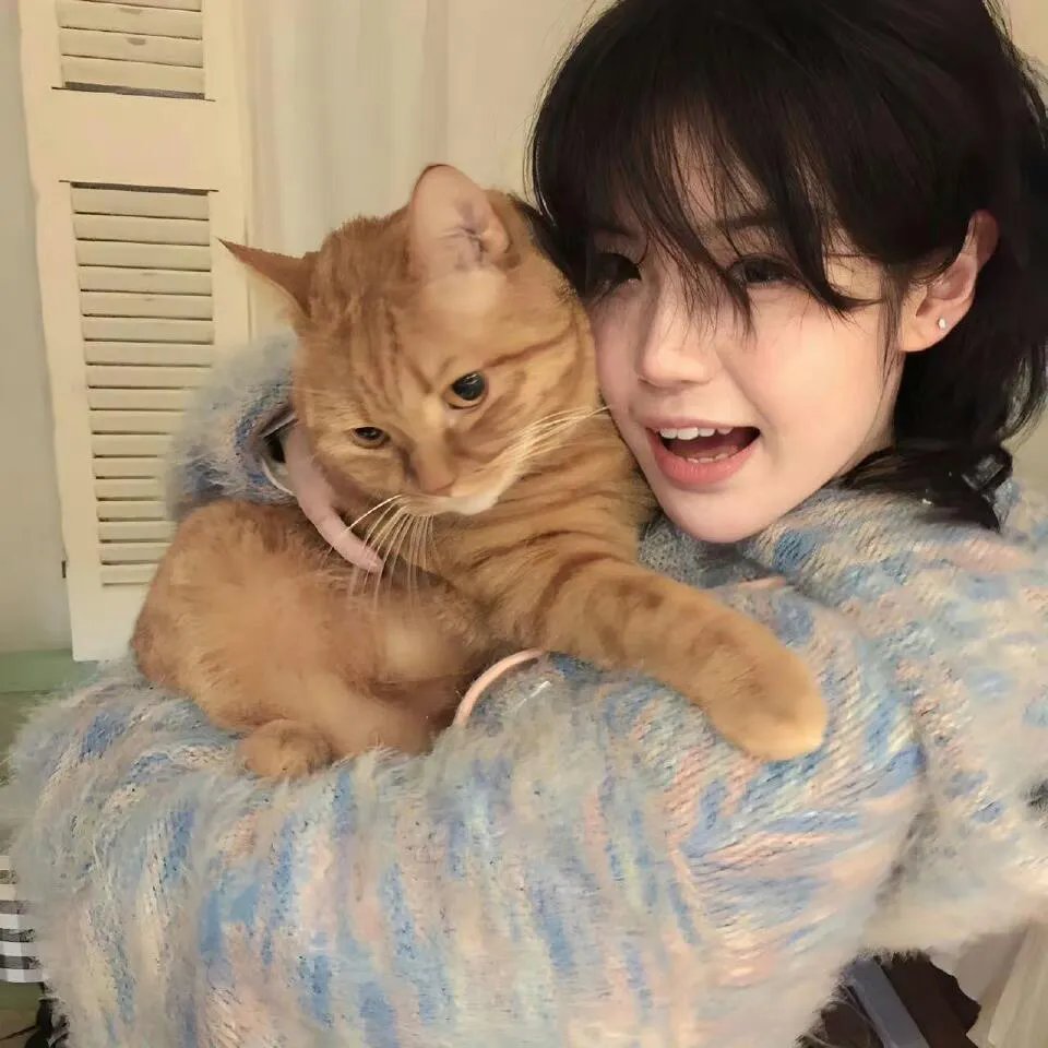 逃婚当天我抓了个总裁过日子